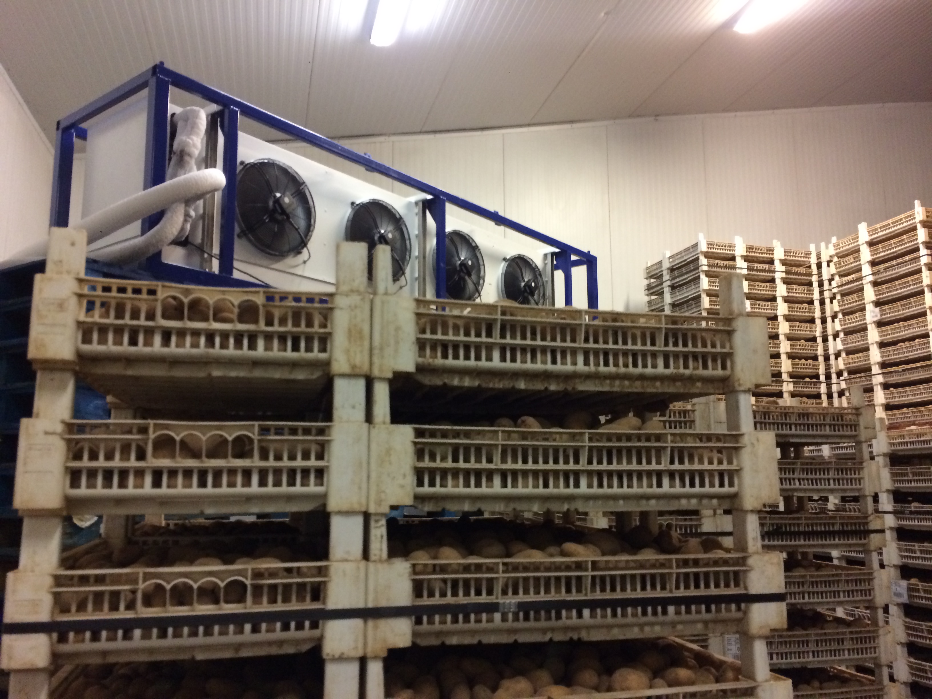 chilled storage hire