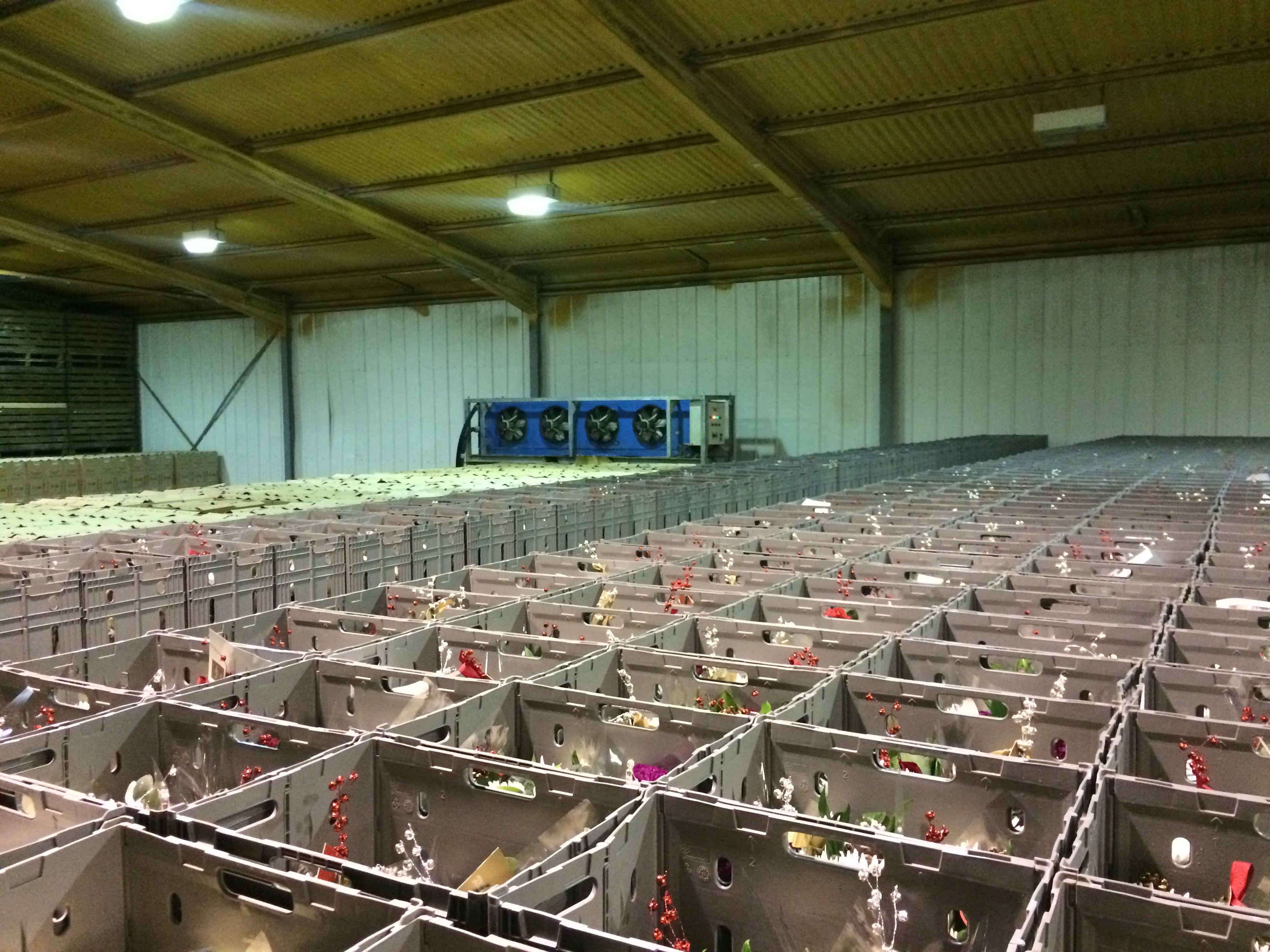 warehouse cold storage