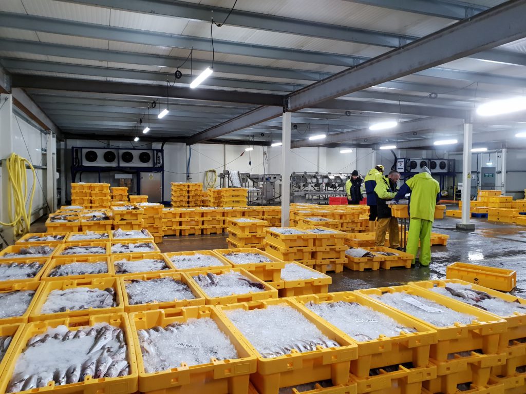 Temporary Cold Storage Hire- Browse Our Services- Climate Rentals Ltd