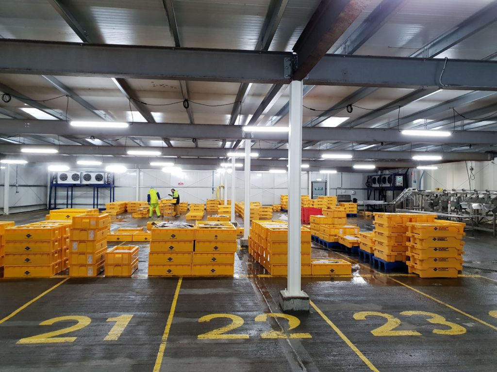Temporary Cold Storage Hire- Browse Our Services- Climate Rentals Ltd