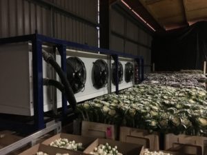 Flower cooling hire