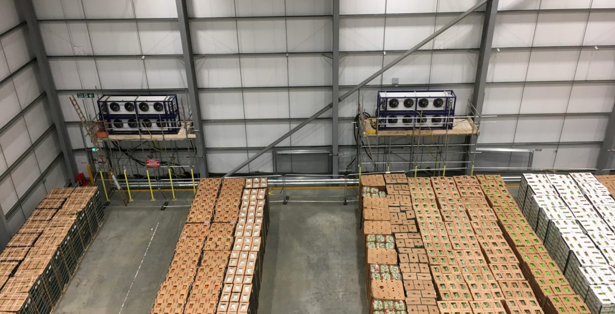 Temperature Controlled Warehouse Partitioning for Banana Storage