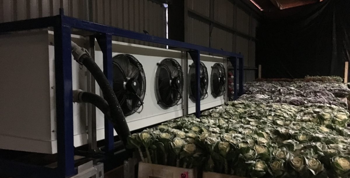 Additional Cold Storage Capacity for a Major Flower Distributor