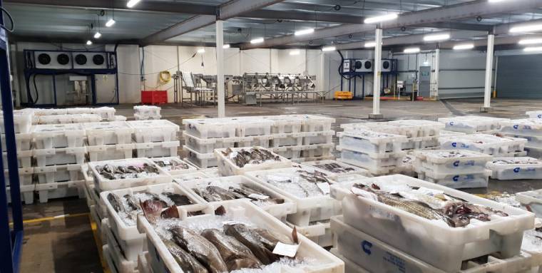 Temporary Cold Storage in Scotland. The Scalloway fish market in Shetland