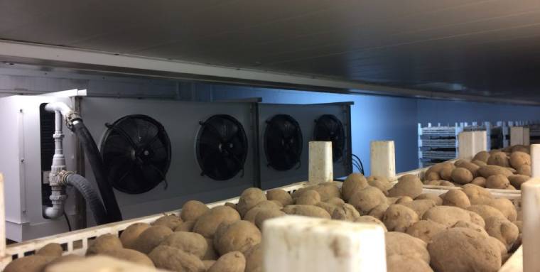 Chilled Storage hire for Seed Potatoes