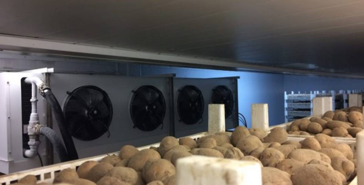 Process Chilled Water System Hire for Potato Washing