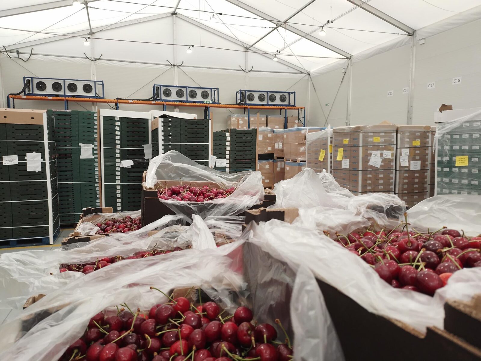 The cold chain and logistics