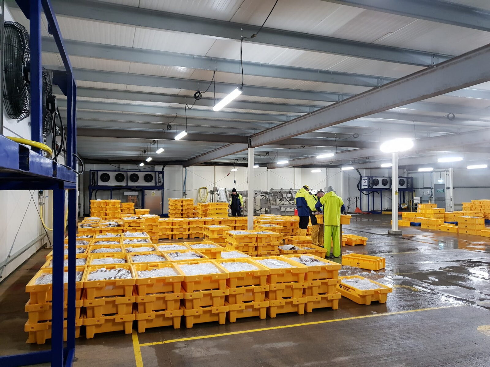 Modular Cold Store Hire