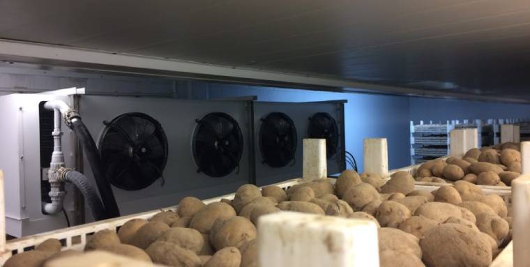 Chilled Storage hire for Seed Potatoes
